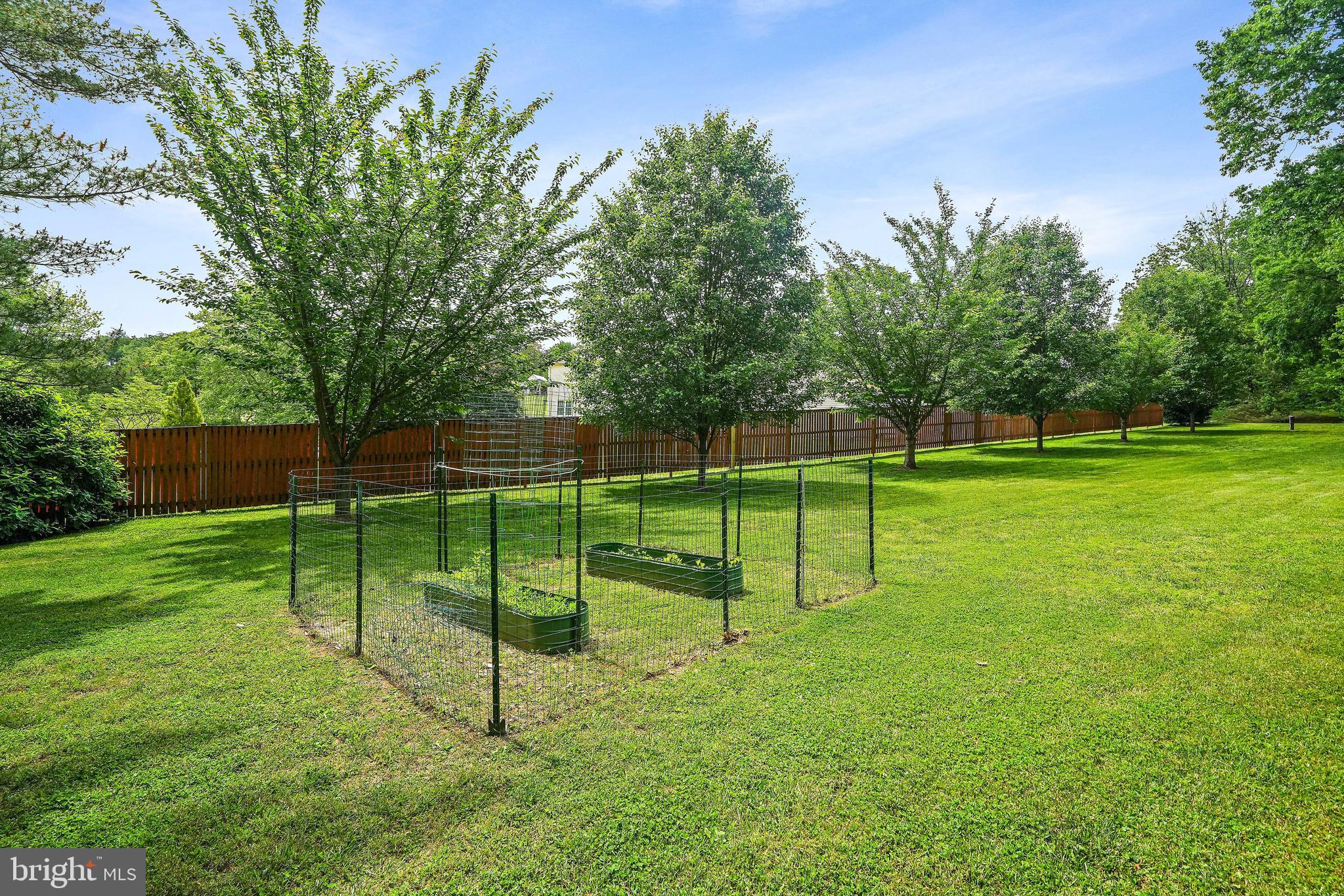 TOLLEY TERRACE - Residential