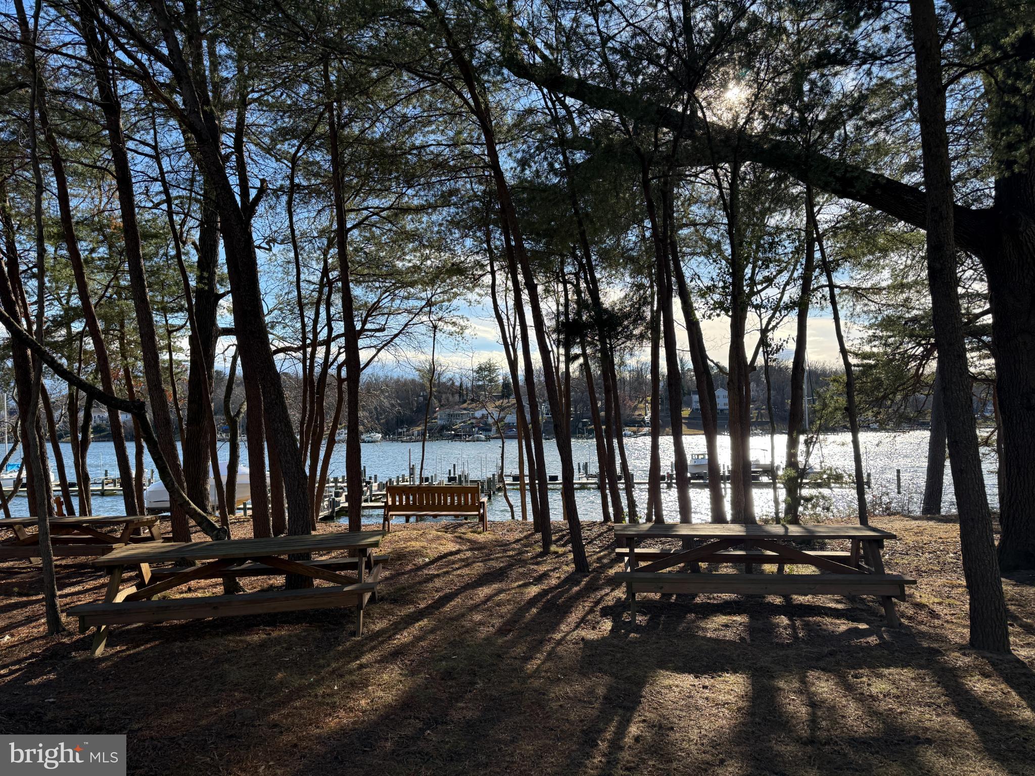 CHESTNUT HILL COVE - Residential