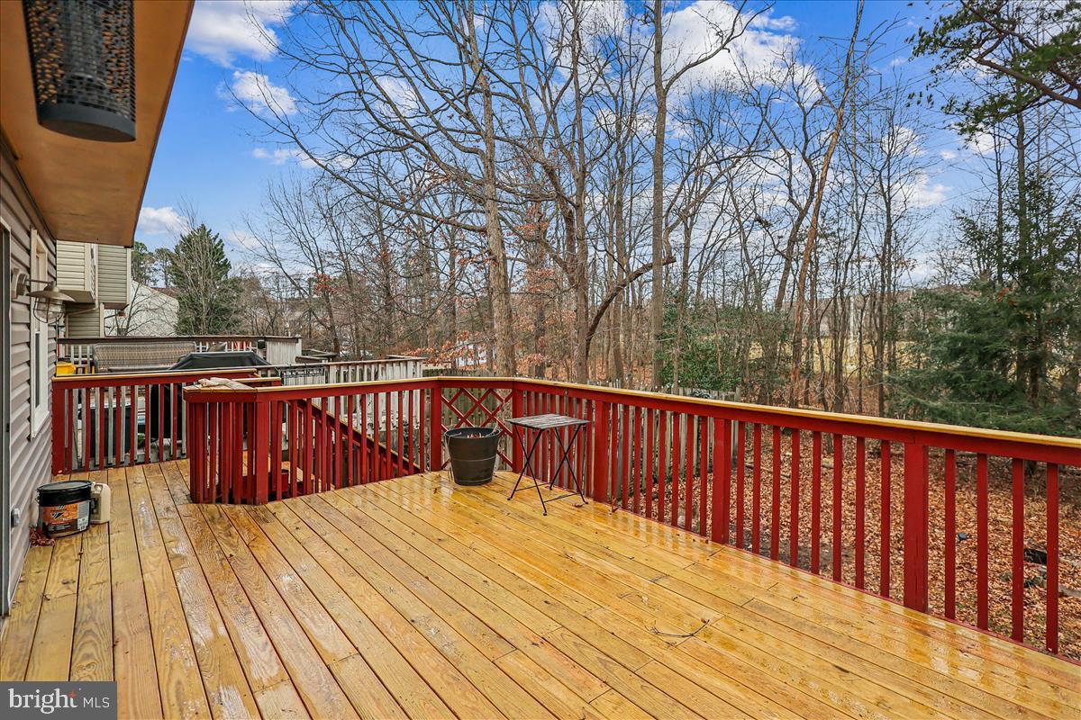 CHESTNUT HILL COVE - Residential