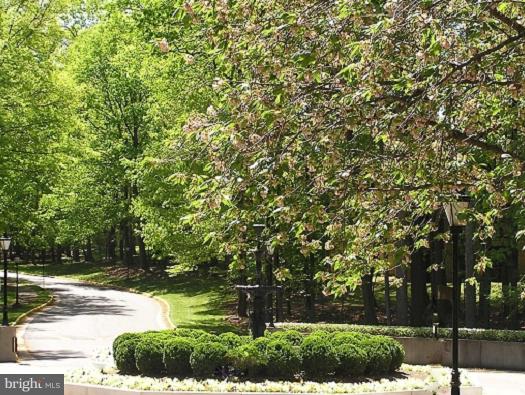 BURKE COVE - Residential