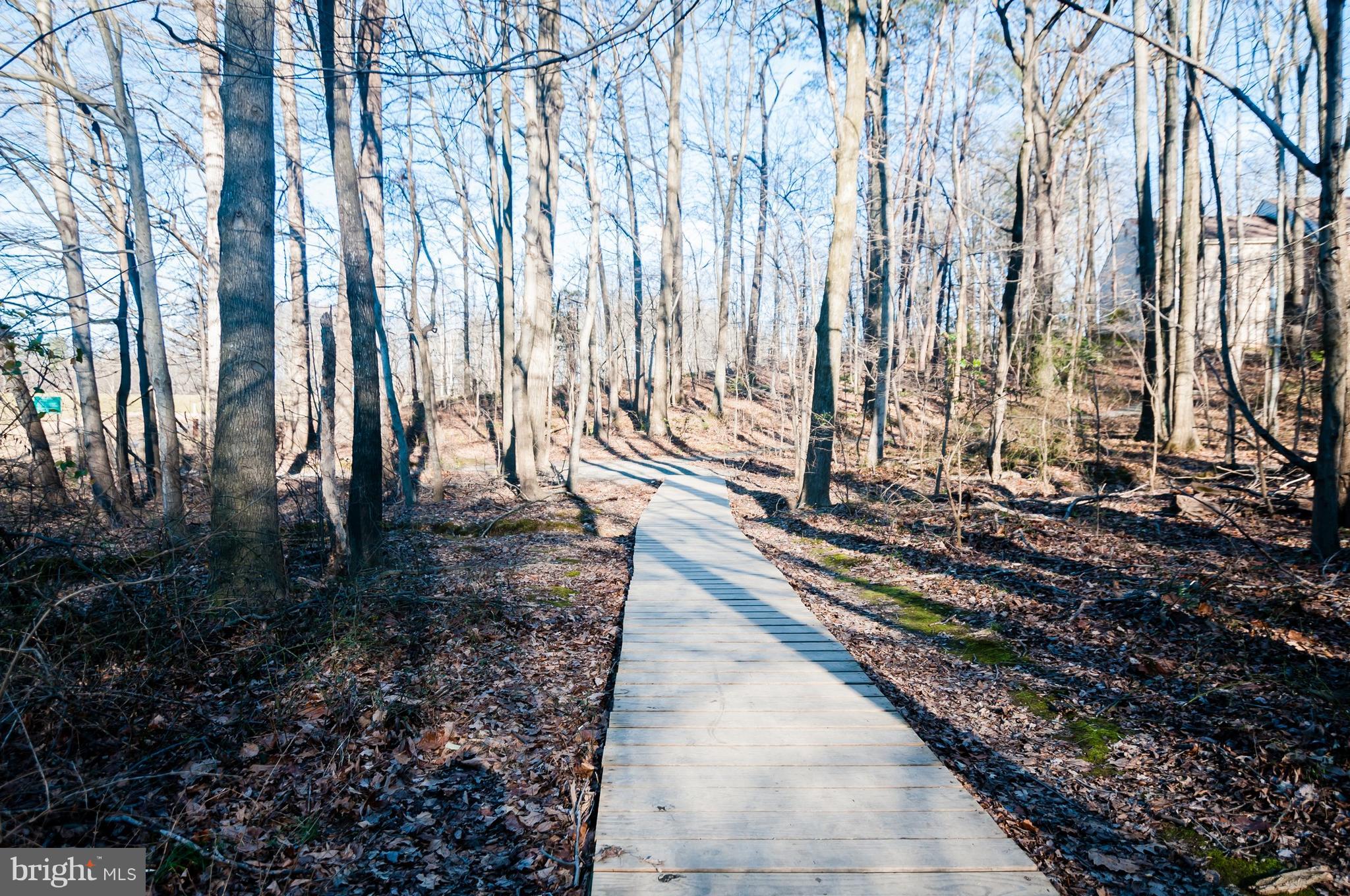 BURKE COVE - Residential