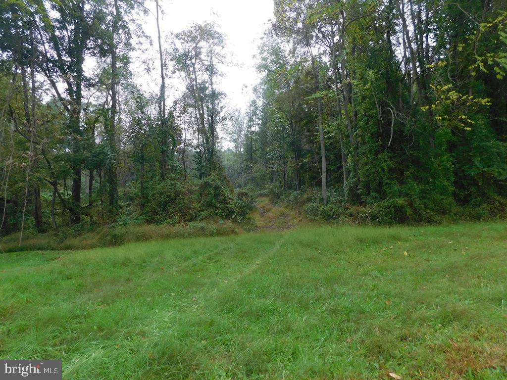 nice wooded 2 acre lot; sewer tap is there; must be run to lot and connected; needs a well,Farm Fuel: None