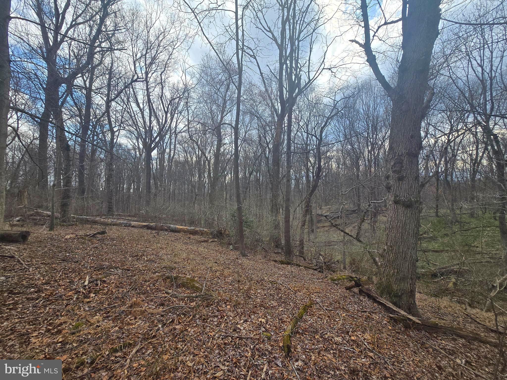 1160 DAY ROAD