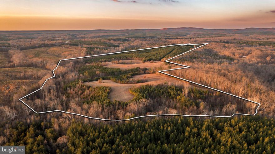 PRICE REDUCED!
This hunting and recreation tract has recently been opened up with newly cleared trails and freshly bush-hogged fields, giving the property a clean, accessible, and refreshed feel. It’s easy to walk, easy to explore, and easier than ever to imagine how you’d use the land from day one.

A straight half-mile gravel/dirt road provides smooth access through a young stand of pine before opening into more than 20 acres of rolling fields. These open acres are perfect for food plots, hay or crop production, and they also offer excellent potential for a future cabin or home-place. Multiple homesite locations have already been identified, with soils that perk for a 4-bedroom conventional septic system—removing much of the uncertainty for buyers planning ahead.

Along the northern and eastern boundaries, Frisby Branch Creek, a natural spring, and hardwood cover create a dependable water source and natural travel corridors for wildlife. This blend of timber, open ground, and creek bottom gives the property strong holding power for deer and turkey and adds to the peaceful, private feel of the land.

Whether you’re chasing whitetails in the fall, enjoying spring mornings for turkey season, or simply looking for a quiet place to unplug, this tract offers a rare mix of usability, privacy, and long-term potential—just minutes off U.S. Route 60.

Showings are by appointment only. All buyers must be accompanied by a licensed real estate agent. Gate code required for access.