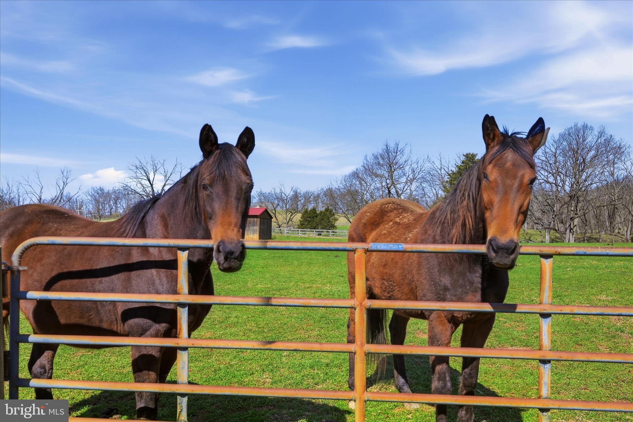 NONE AVAILABLE - Farm