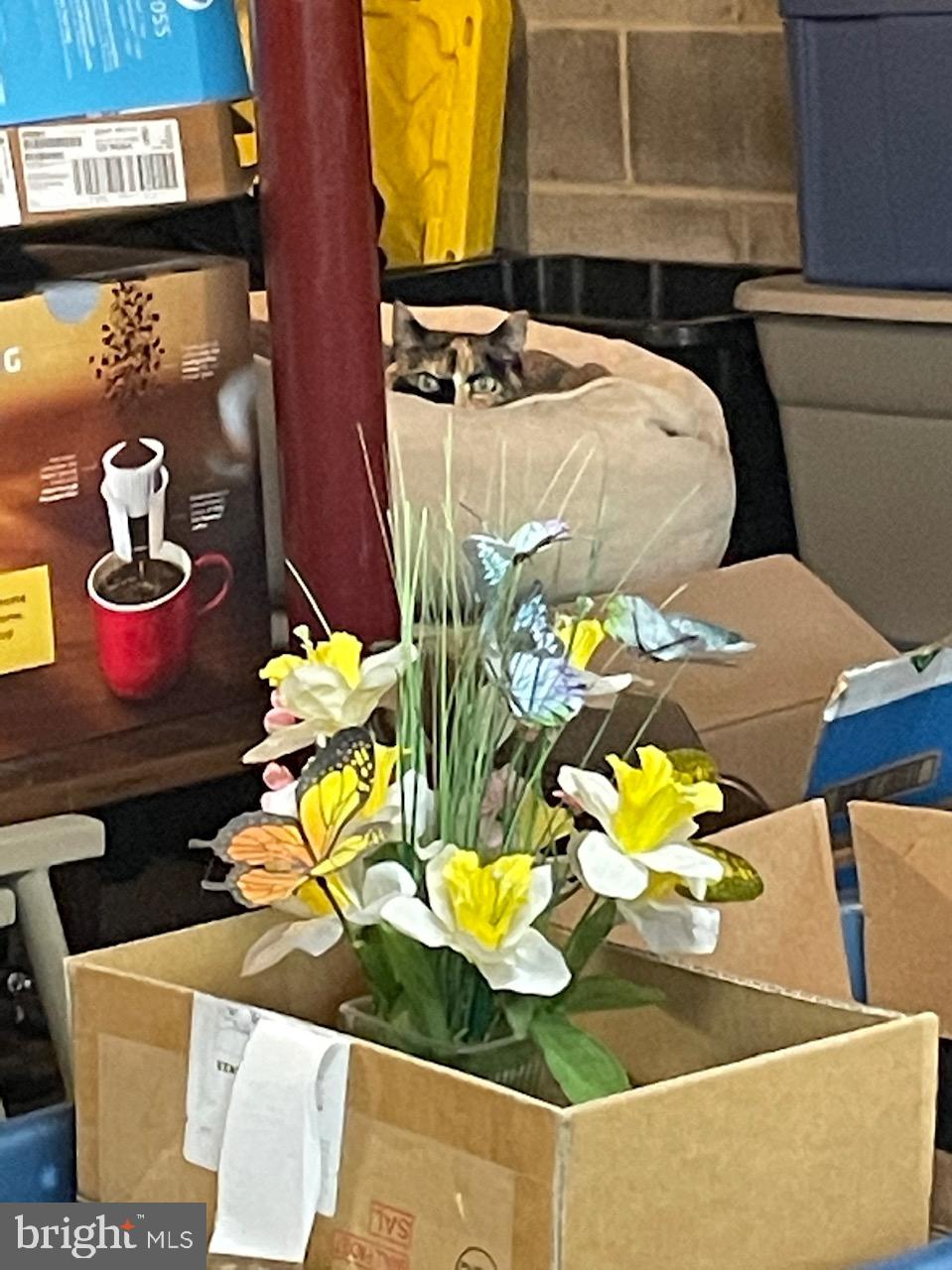 FOREST HEIGHTS - Residential