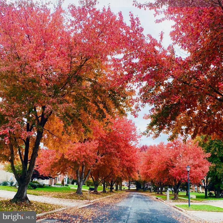 STONEGATE - Residential