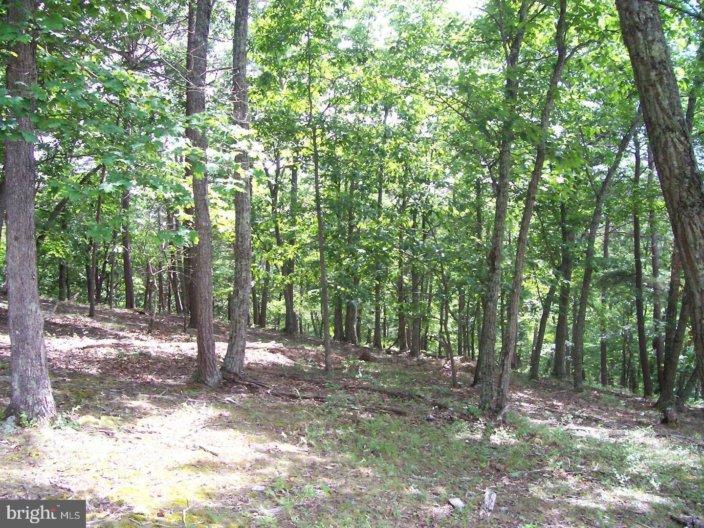 DAVY RIDGE - Residential