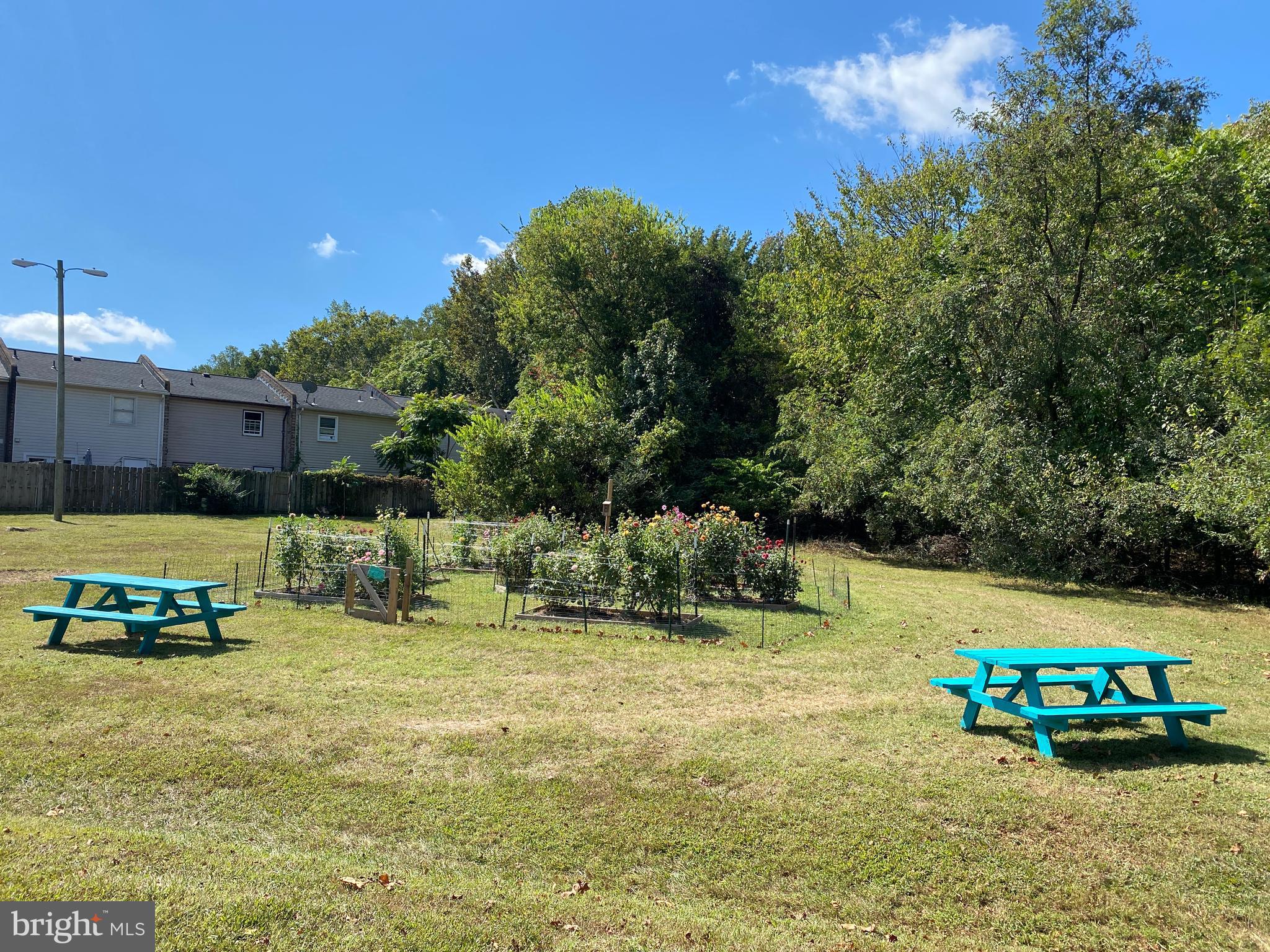 CENTRAL PARK TOWNHOMES - Residential Lease