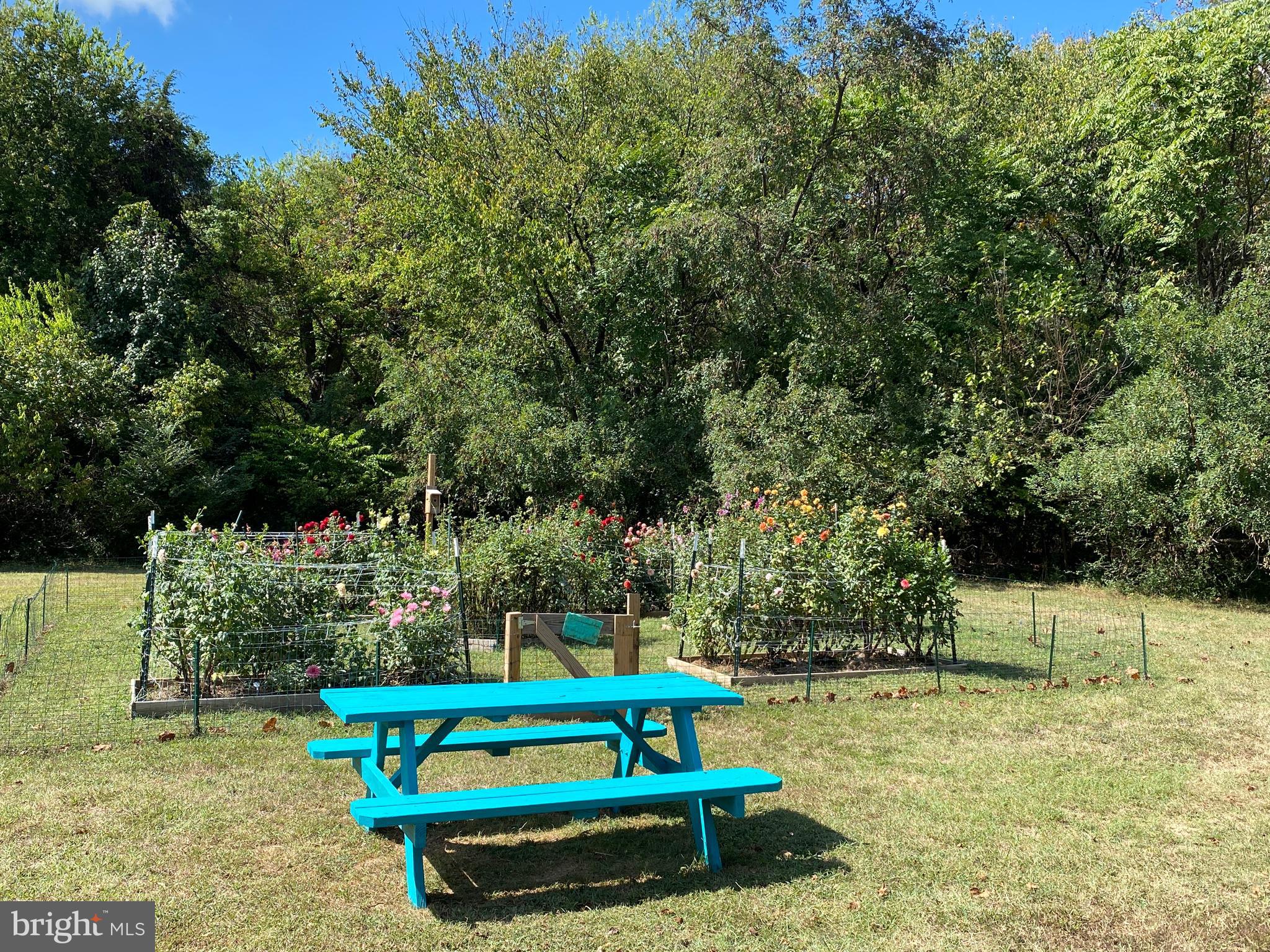 CENTRAL PARK TOWNHOMES - Residential Lease