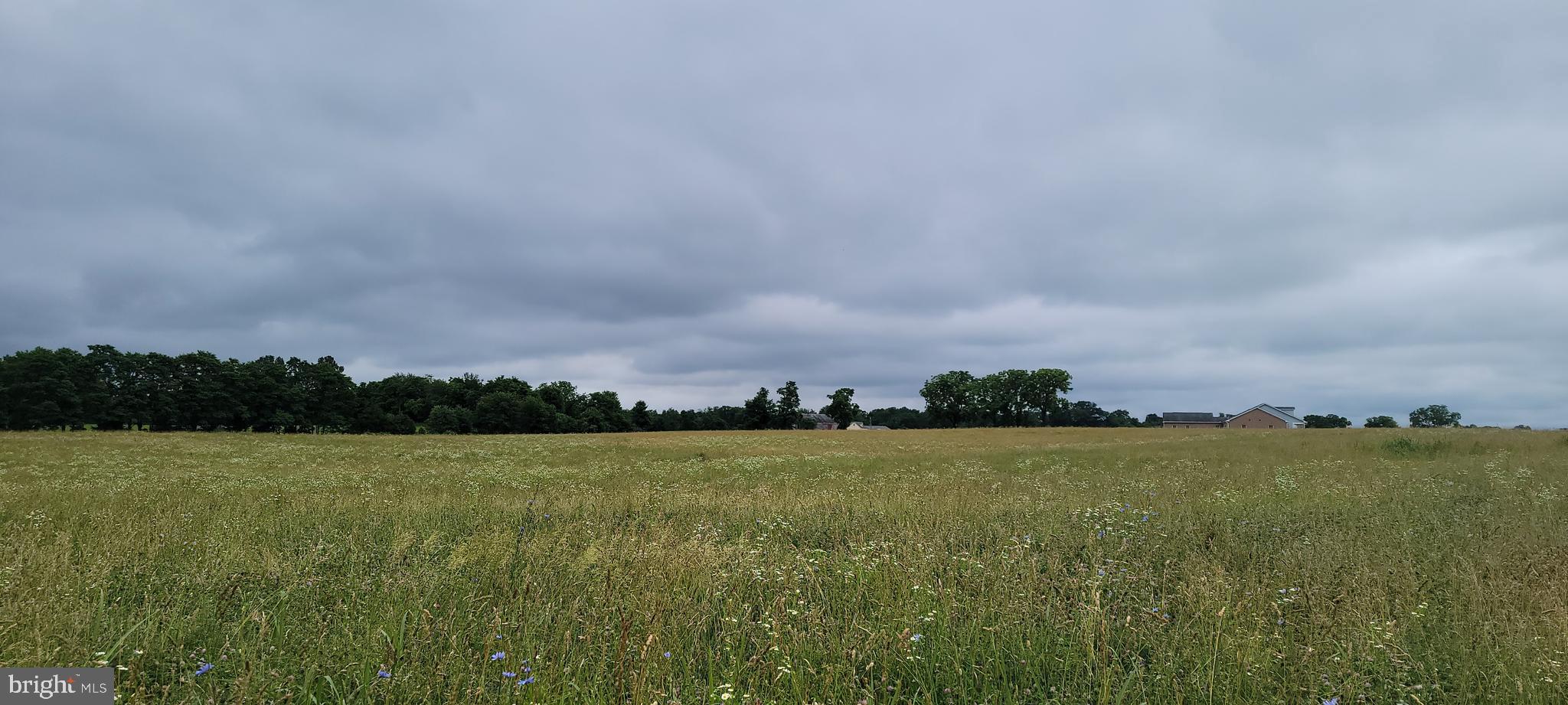 Newly subdivided 5 acre home site for sale. Situated in the Shepardstown District, Jefferson County. WV. Located in a rural setting surrounded by farm land with access to I-81, Route 9, Martinsburg, Shepardstown and Inwood. Percolation test approved. Will require installation of a well. Limited restrictions. The perfect location for your dream home with country views.