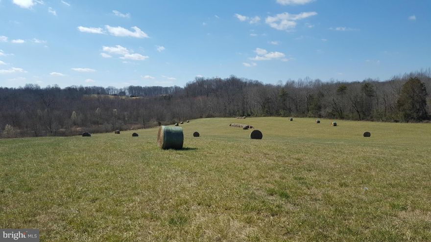 Gorgeous 57+ acres to divided off of larger parcel, stream on property.