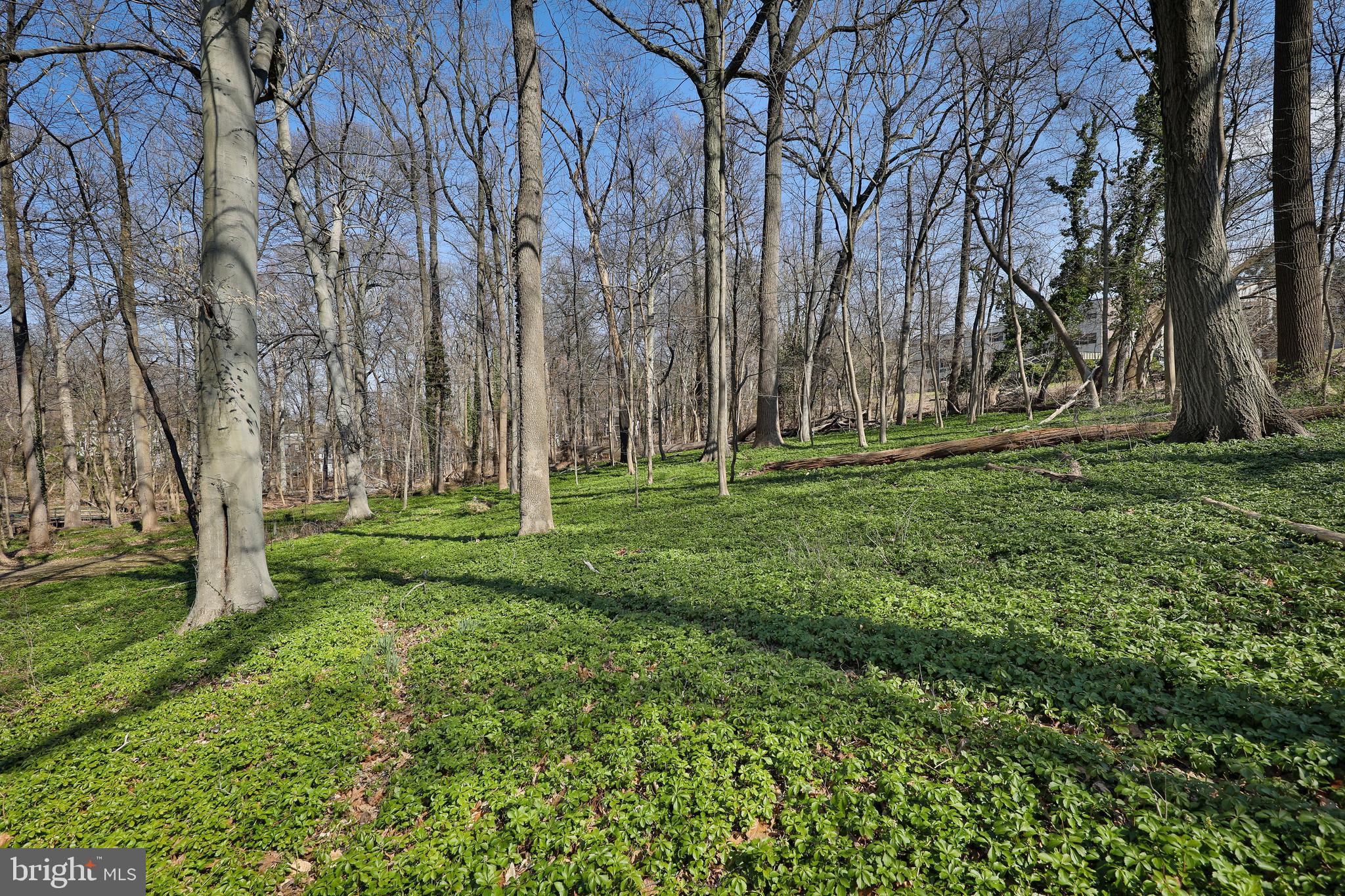 OLD WYNCOTE - Residential