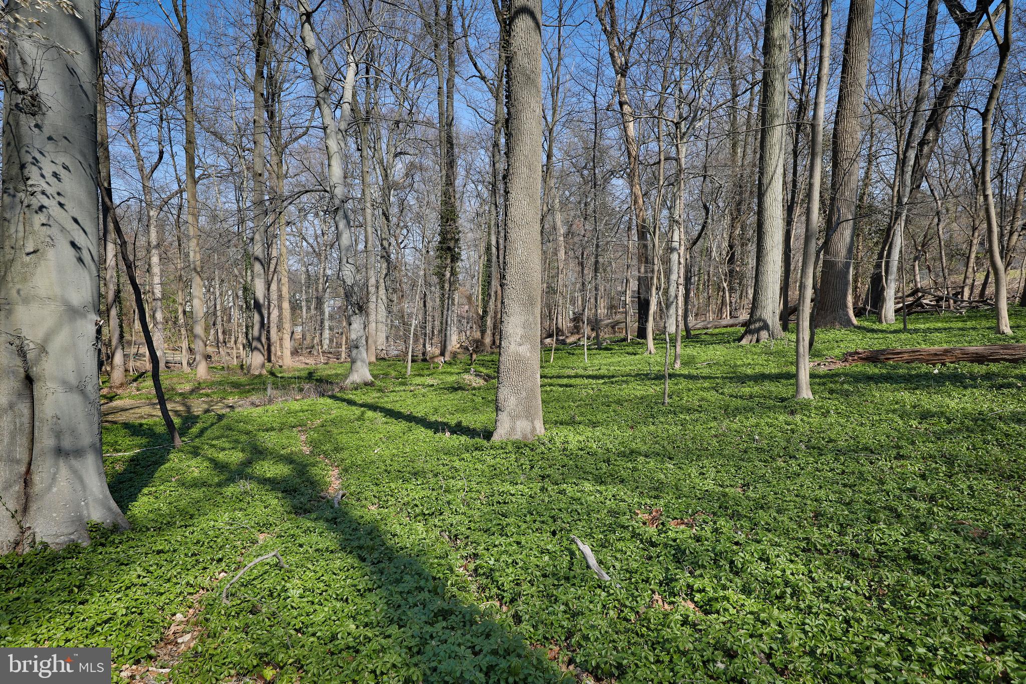 OLD WYNCOTE - Residential
