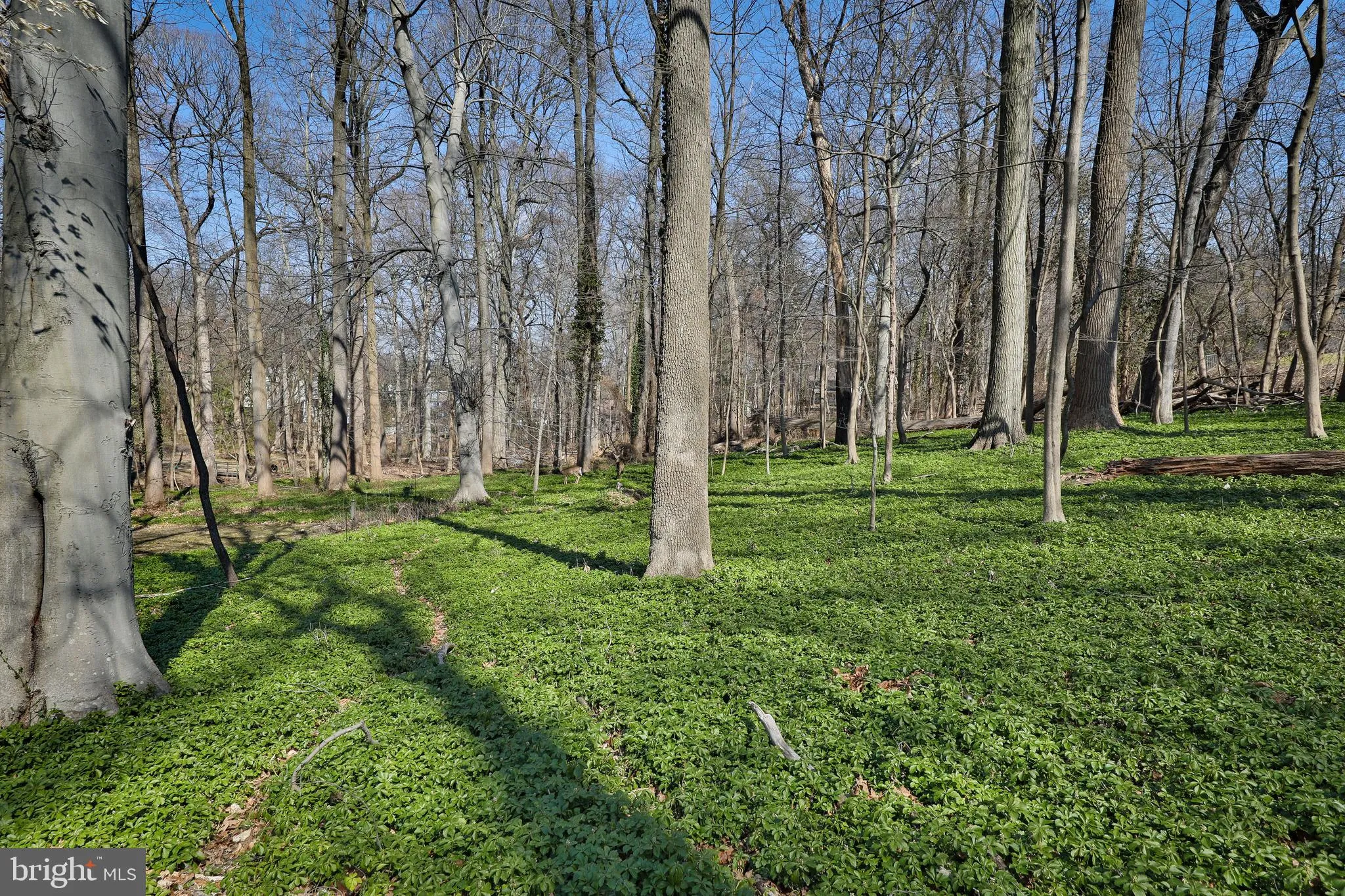 Wyncote, Pennsylvania 19095, United States, 4 Bedrooms Bedrooms, ,3 BathroomsBathrooms,Residential,Contingent,113378