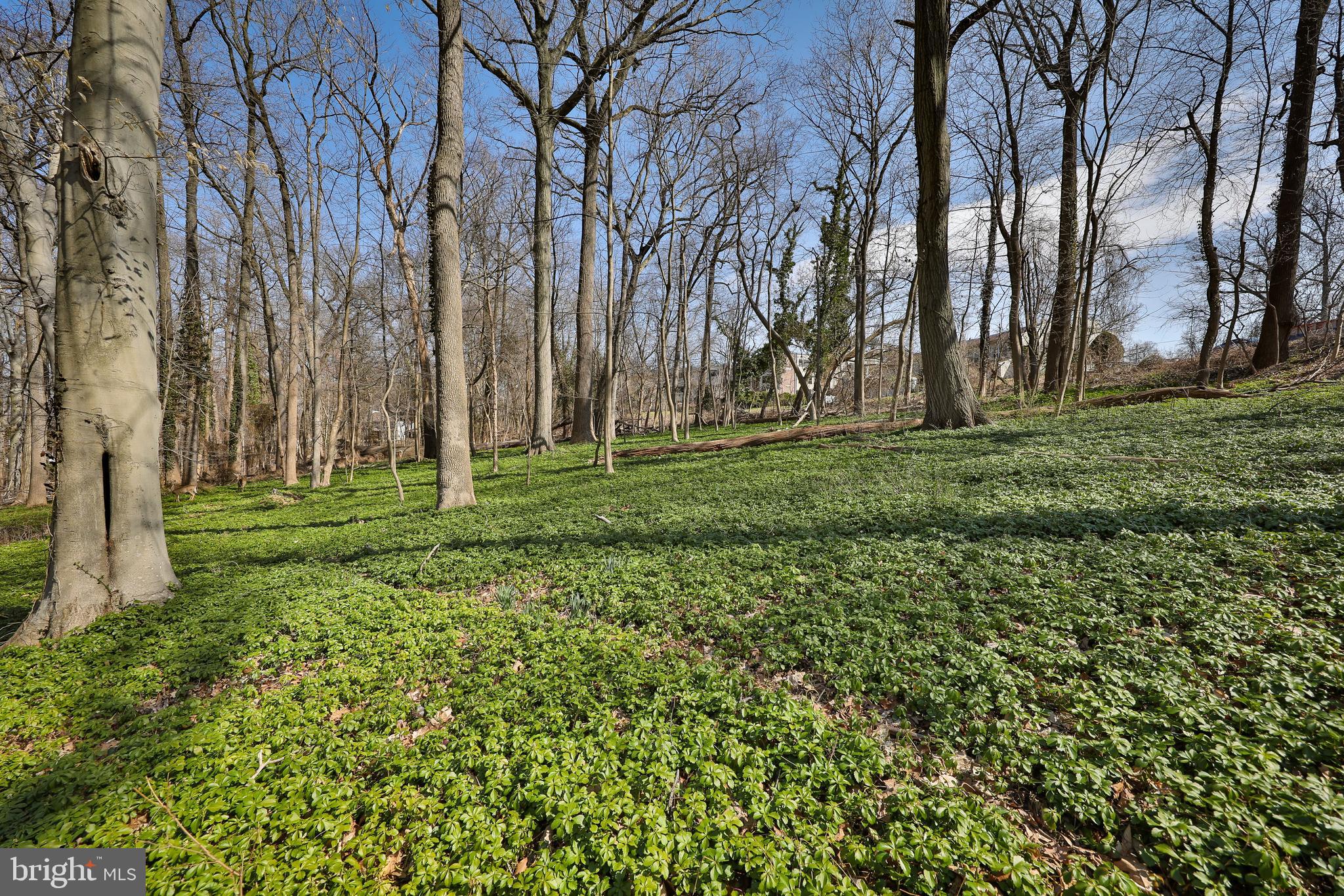 OLD WYNCOTE - Residential