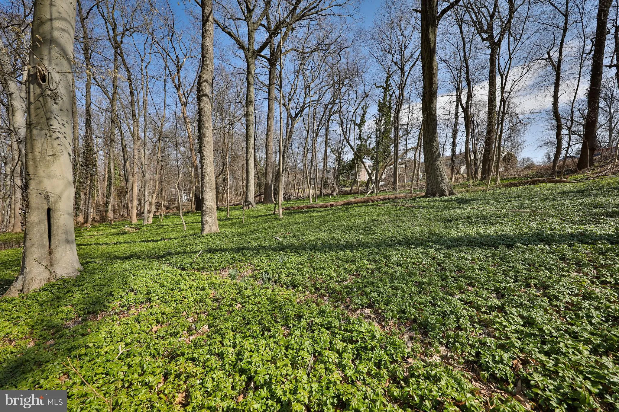 Wyncote, Pennsylvania 19095, United States, 4 Bedrooms Bedrooms, ,3 BathroomsBathrooms,Residential,Contingent,113378