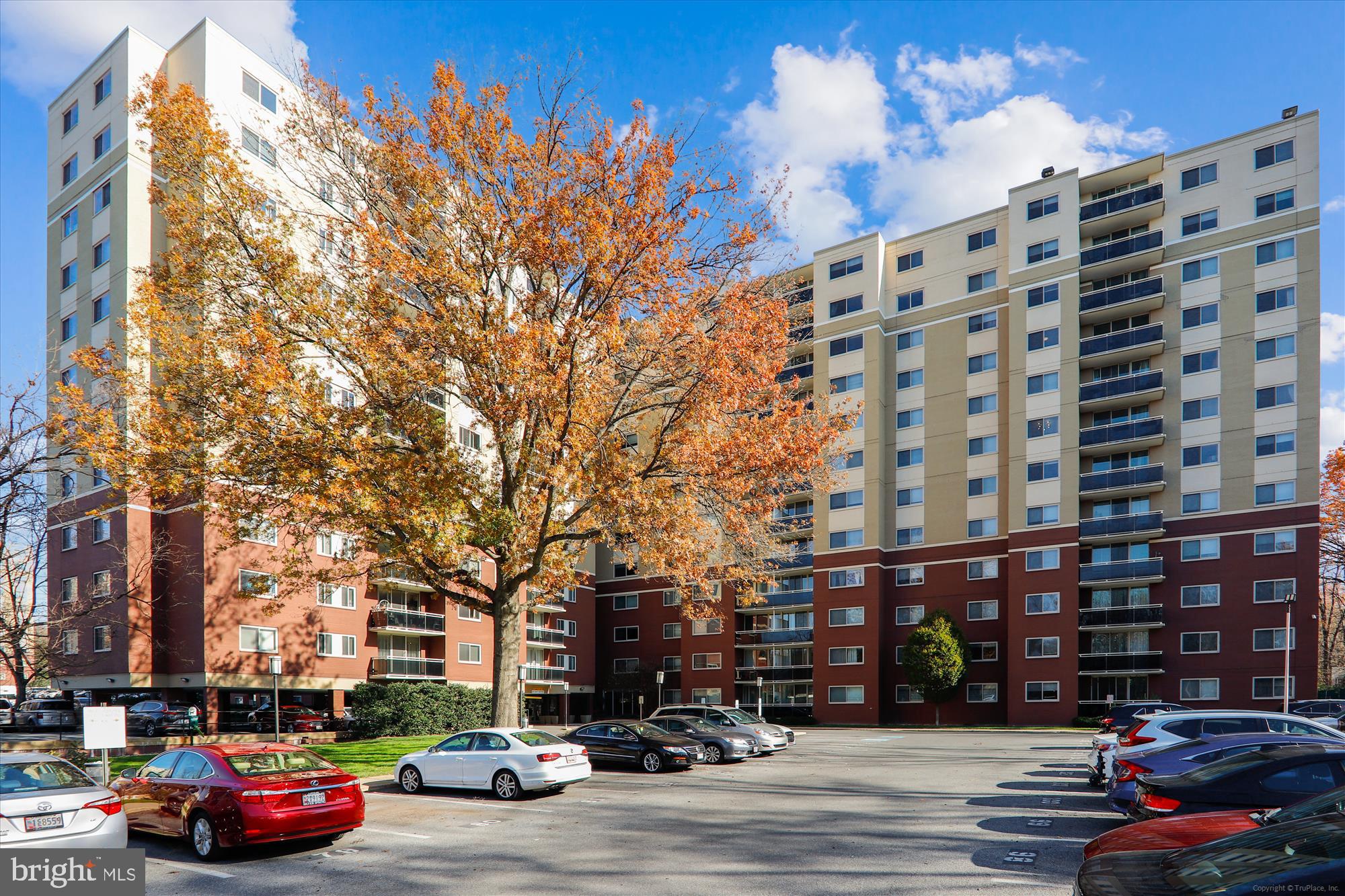TAKOMA PARK - Residential Lease