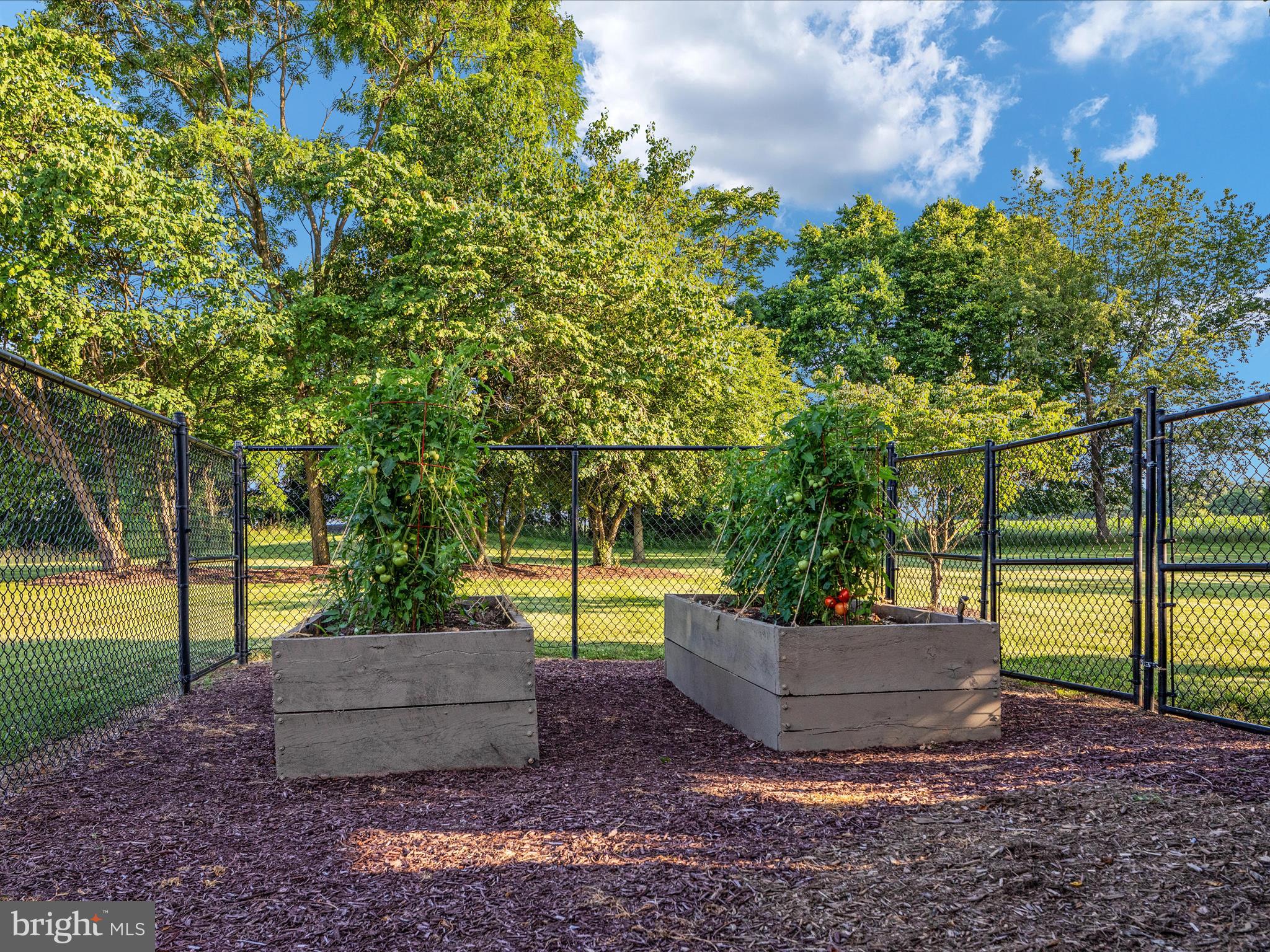 MEADOW SPRING FARM - Residential