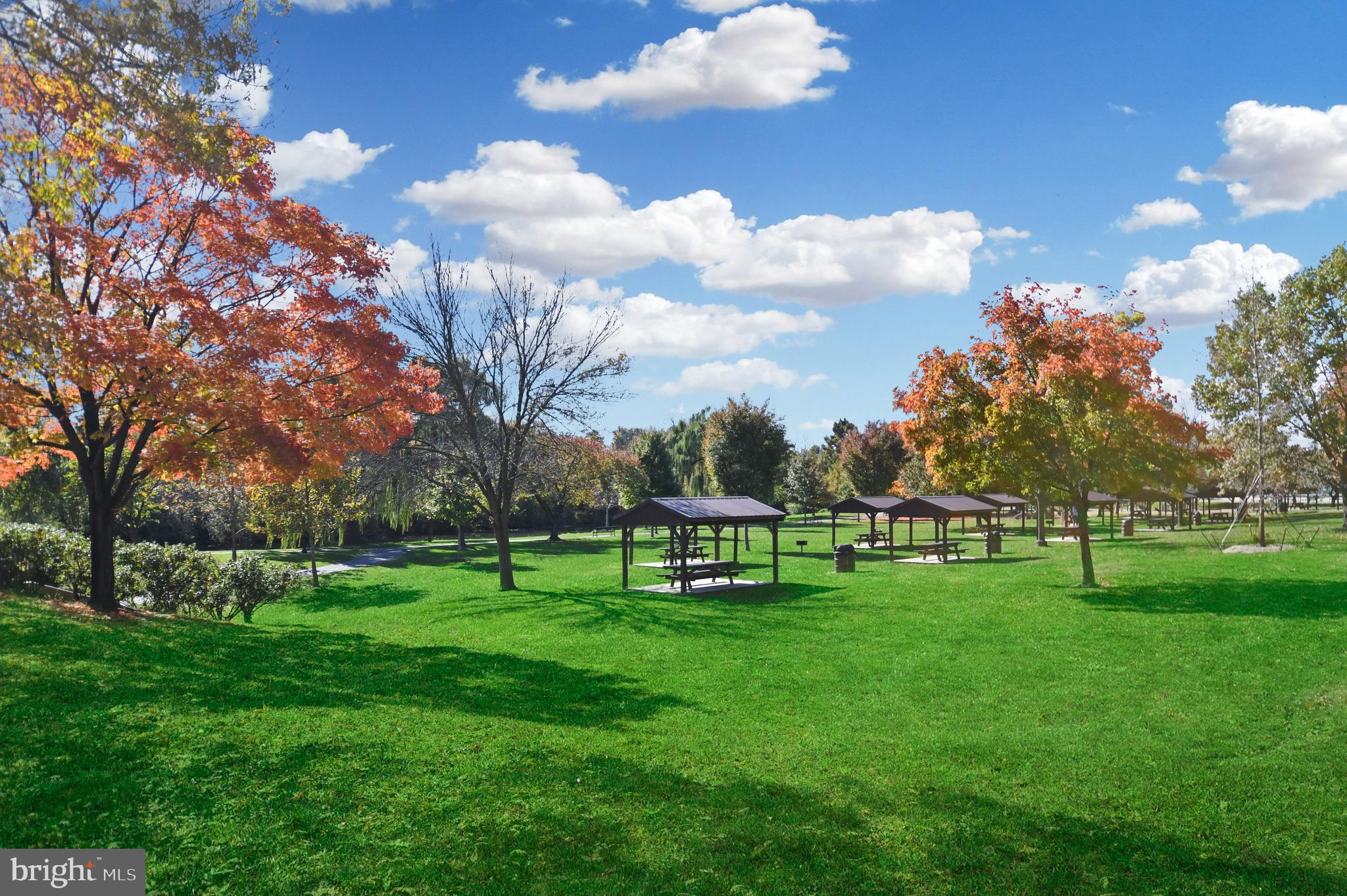 DOWNTOWN FREDERICK - Residential