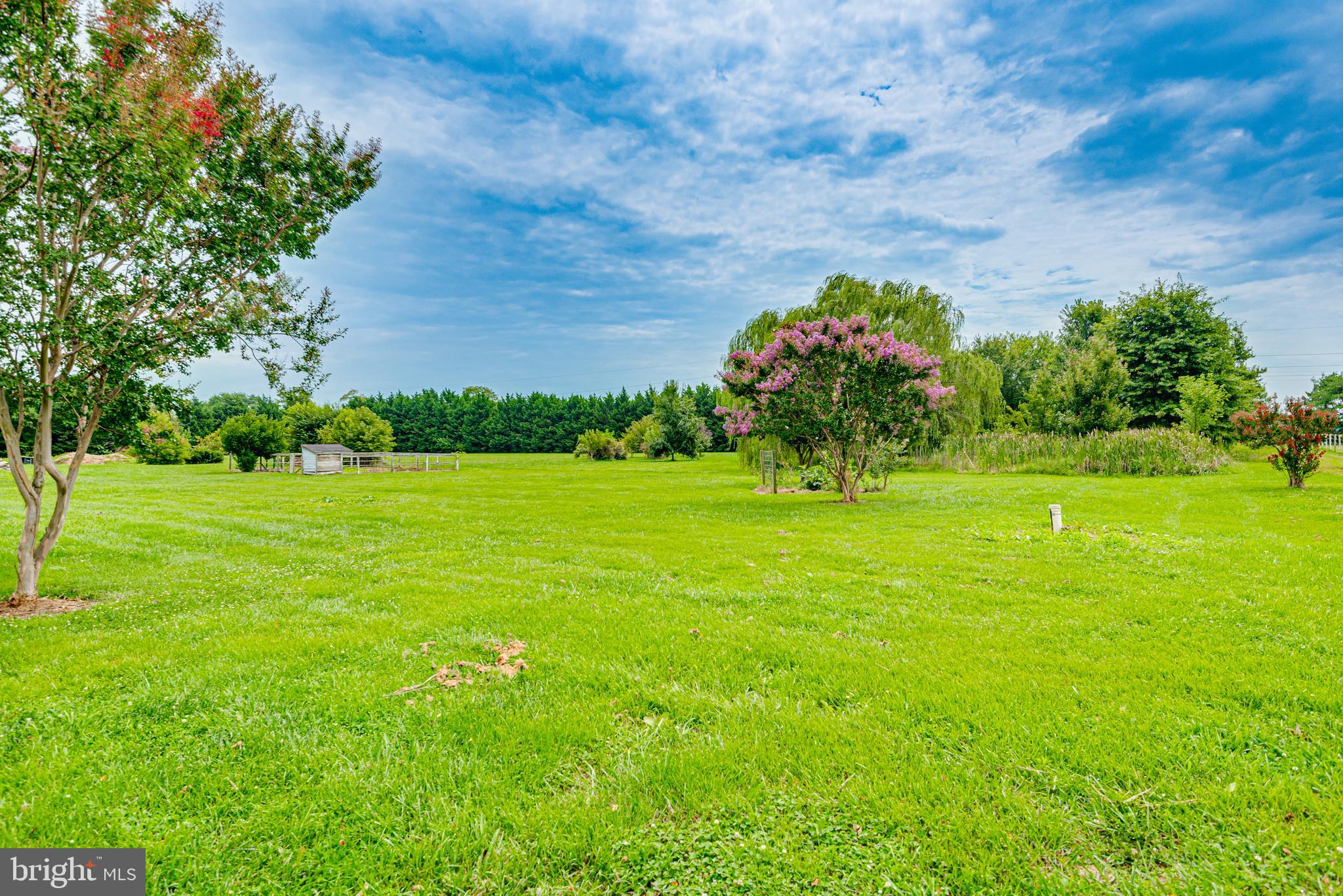 CYPRESS MEADOWS - Residential