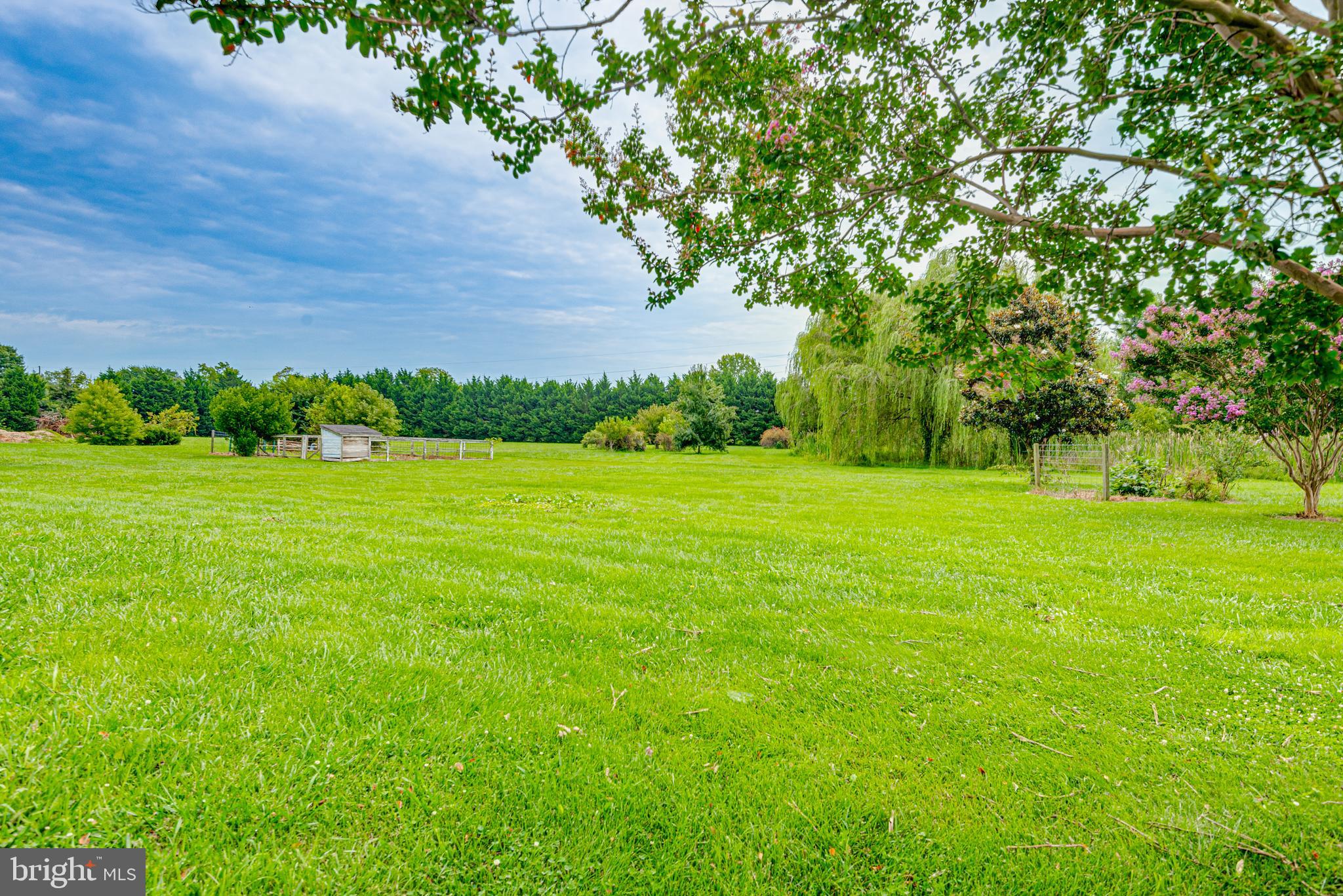 CYPRESS MEADOWS - Residential