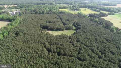 Vacant Land For Sale - Dover Bridge Road<br/> PRESTON, MD 21655