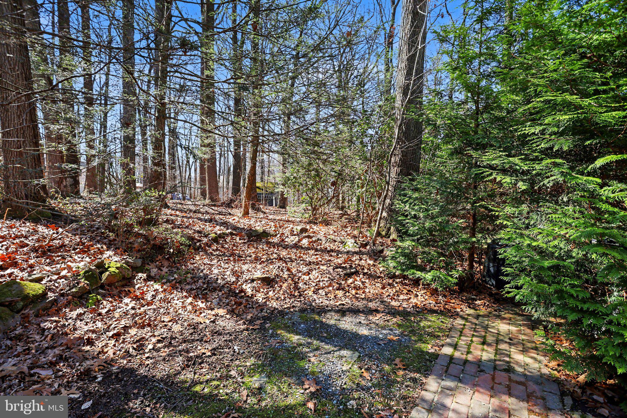 LAUREL WOODS - Residential