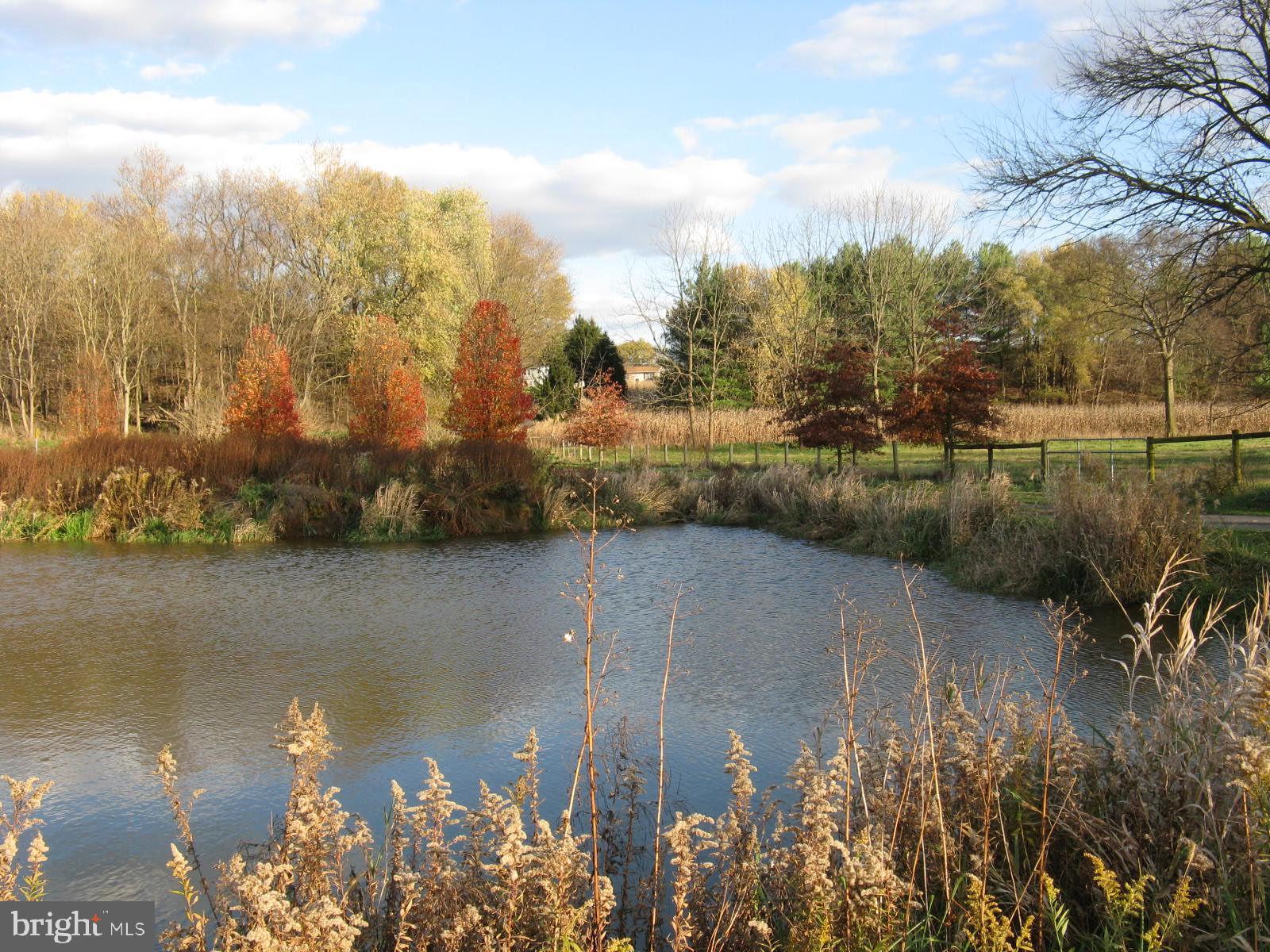 SHEPHERDSTOWN - Residential