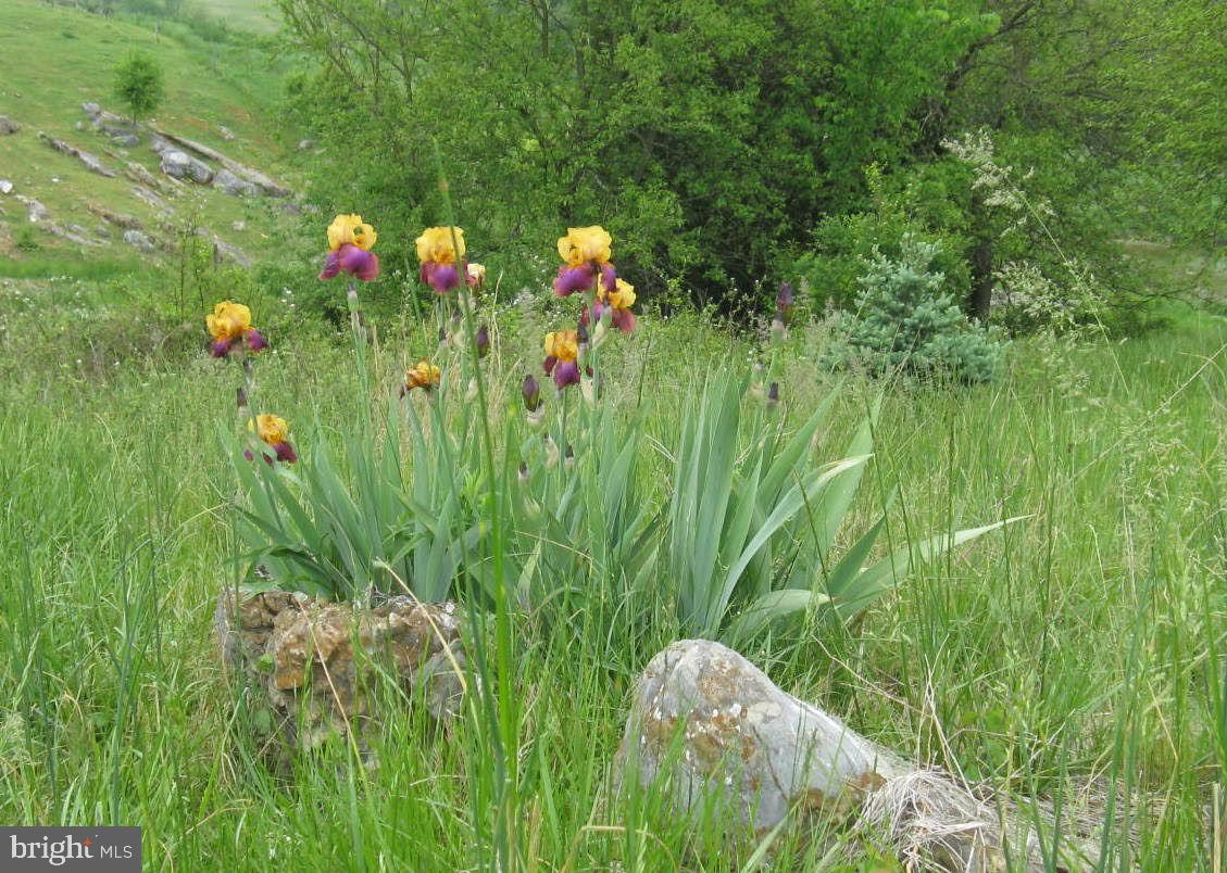 SHEPHERDSTOWN - Residential