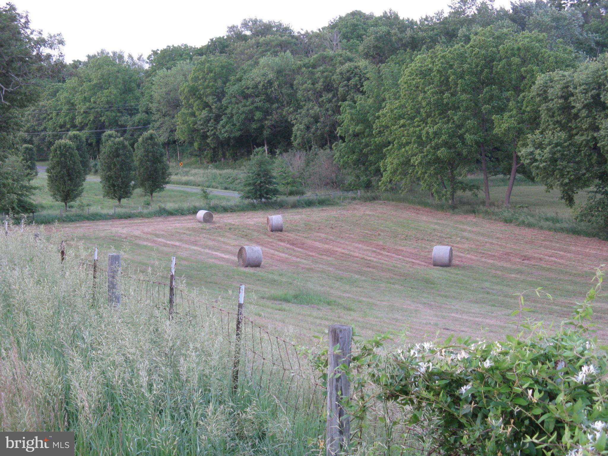 SHEPHERDSTOWN - Residential