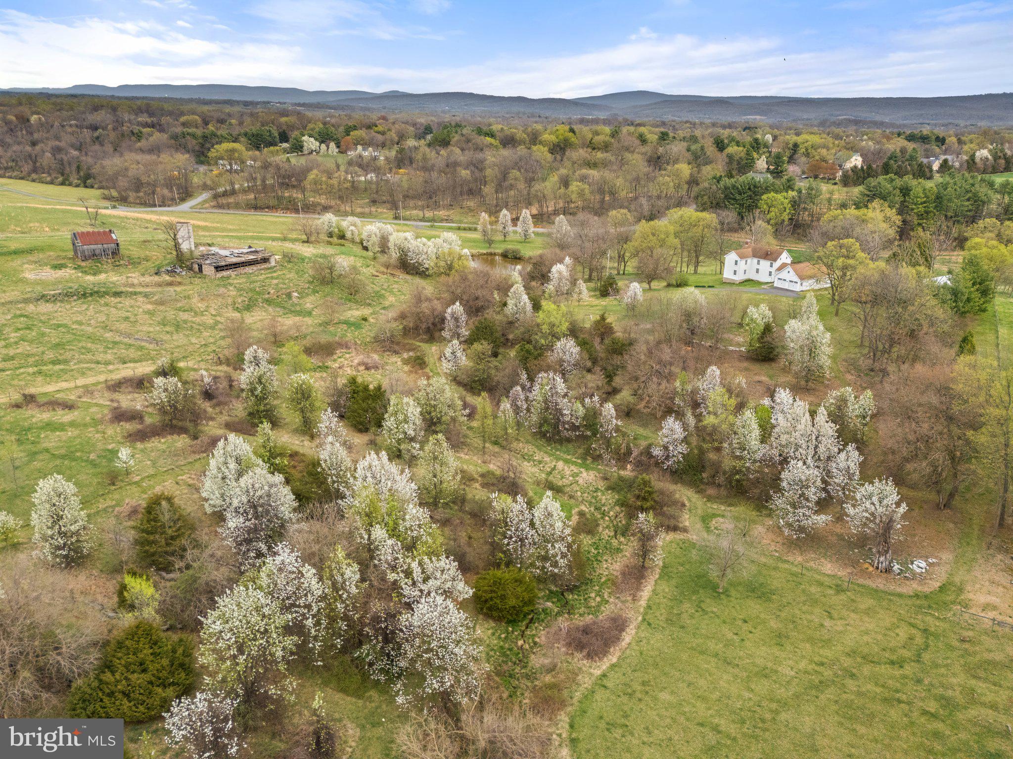 SHEPHERDSTOWN - Residential