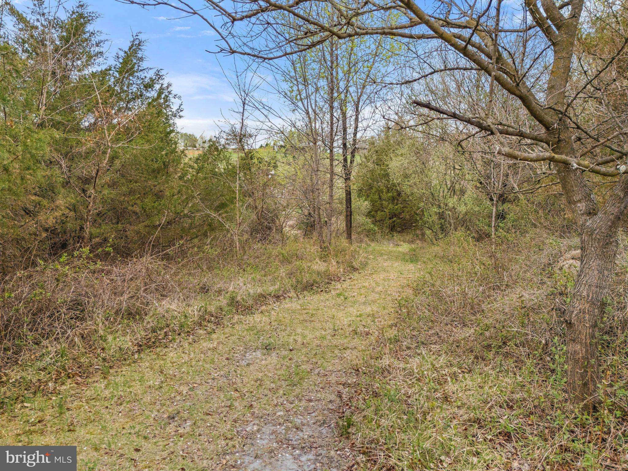 SHEPHERDSTOWN - Residential