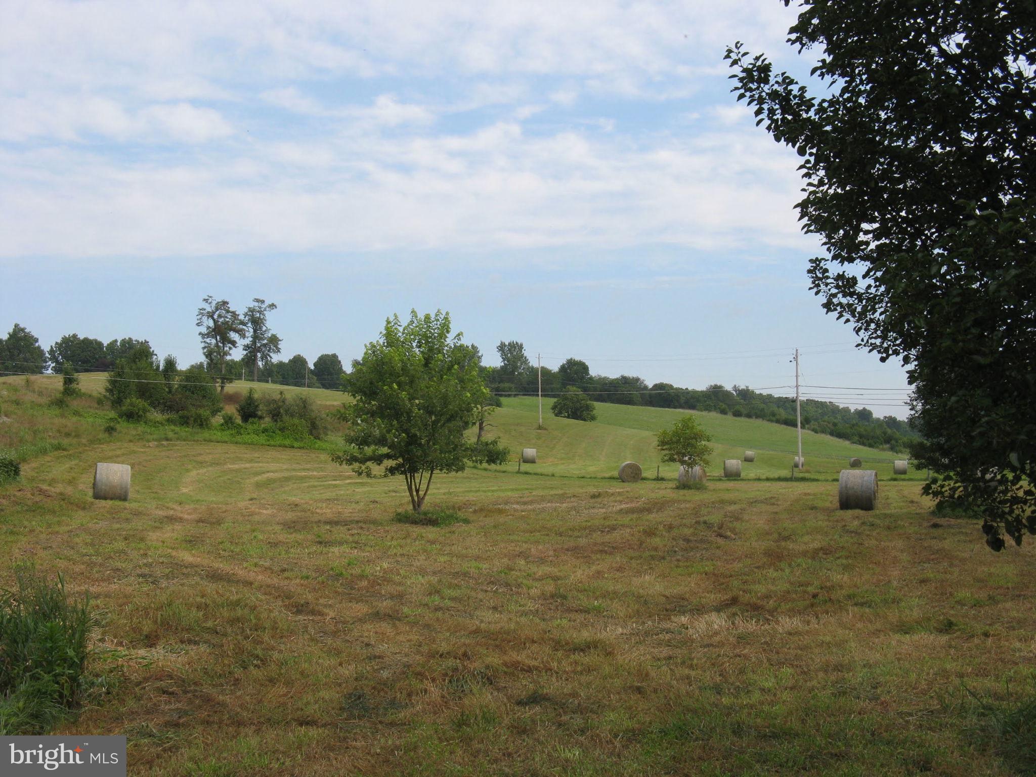 SHEPHERDSTOWN - Residential