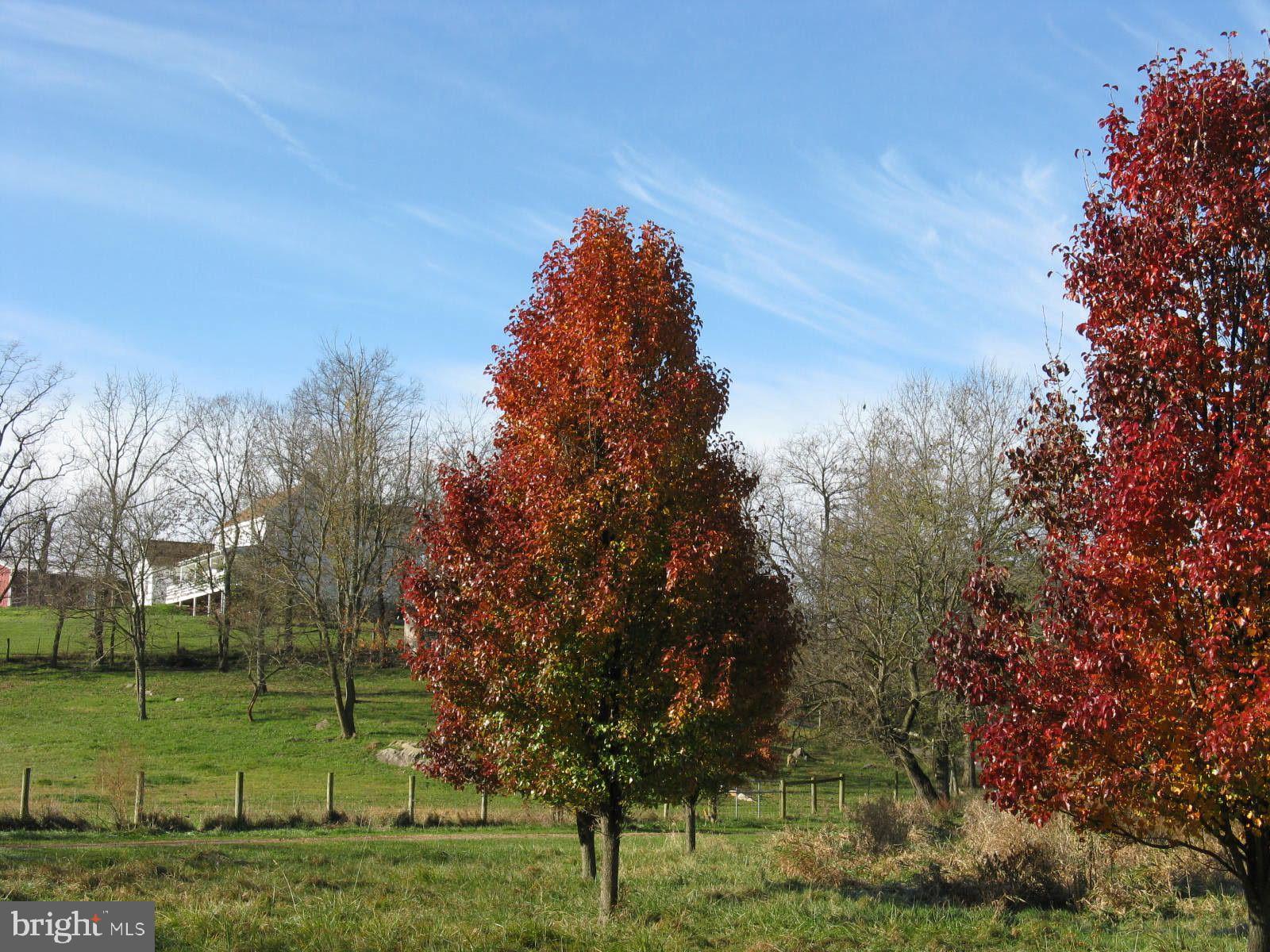 SHEPHERDSTOWN - Residential