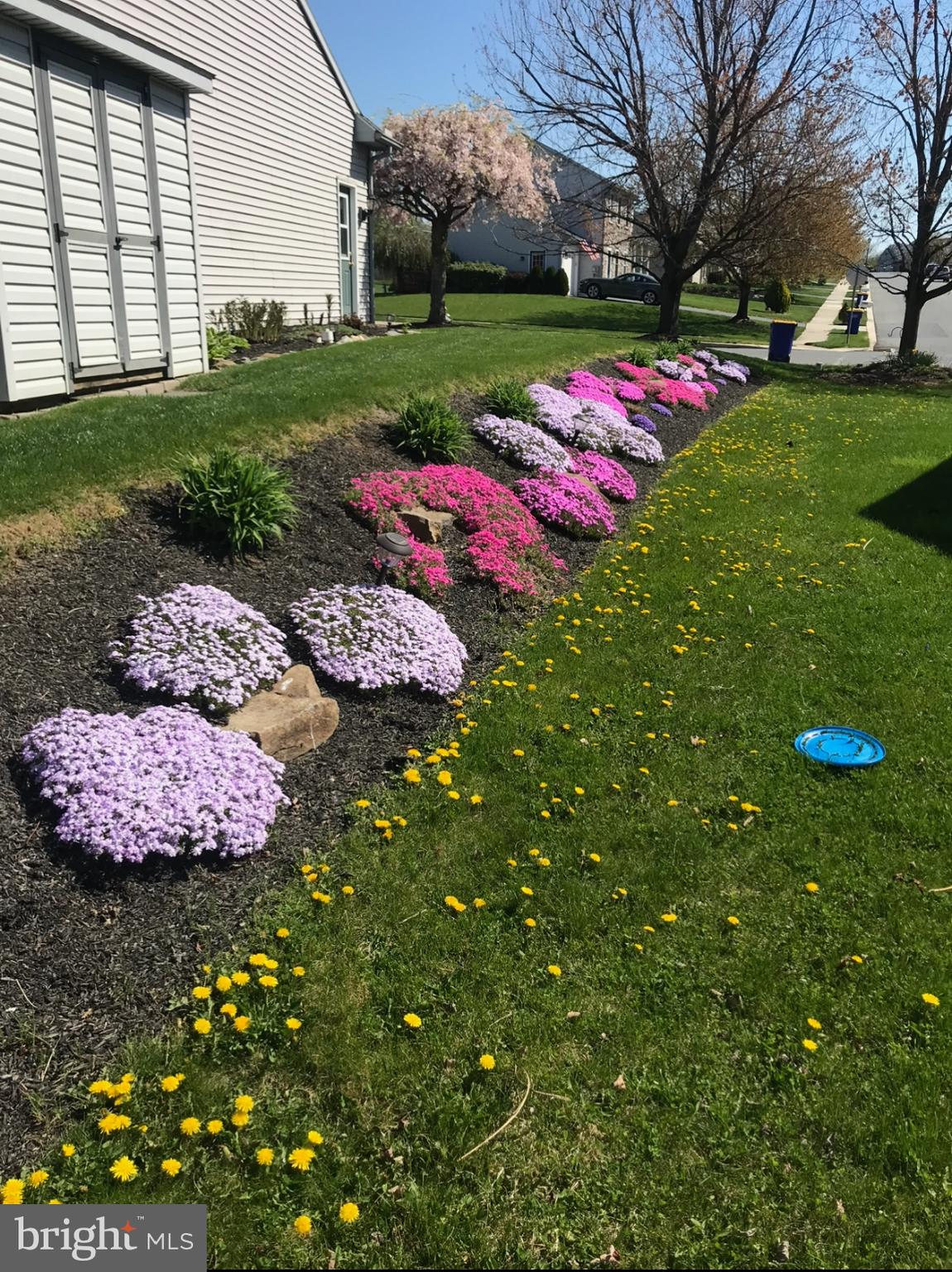 GREEN PARK - Residential