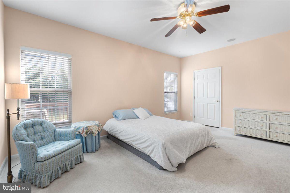 SUFFIELD MEADOWS - Residential