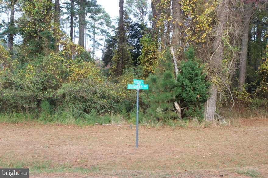 1/1166 Corner, Level, wooded lot (9,695 sq ft) with water & sewer availability across from a canal and just minutes away from all the amenities. Offers options for home placement/design. Buy now and build later, take advantage of this great buy! No time frame to build and No Builder Tie-in. Come and enjoy all the amenities and the lifestyle on the Eastern Shore of VA close to Chincoteague Island, Wallops Island and Ocean City MD. Captains Cove is the fastest growing Golf & Waterfront community on the Eastern Shore of VA. HOA amenities: Pristine 9 Hole Golf Course, indoor/outdoor pools (2), fitness center, tennis, pickle ball & basketball courts, playground, boat ramp, security, biking & walking trails, playground, security and more...Call today for more information.