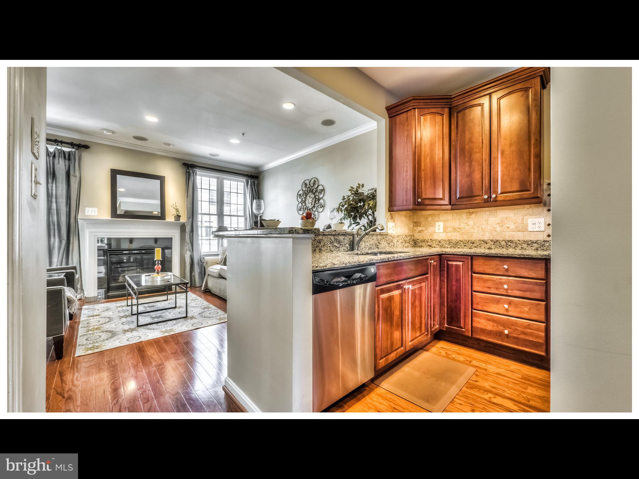 LOCUST POINT - Residential