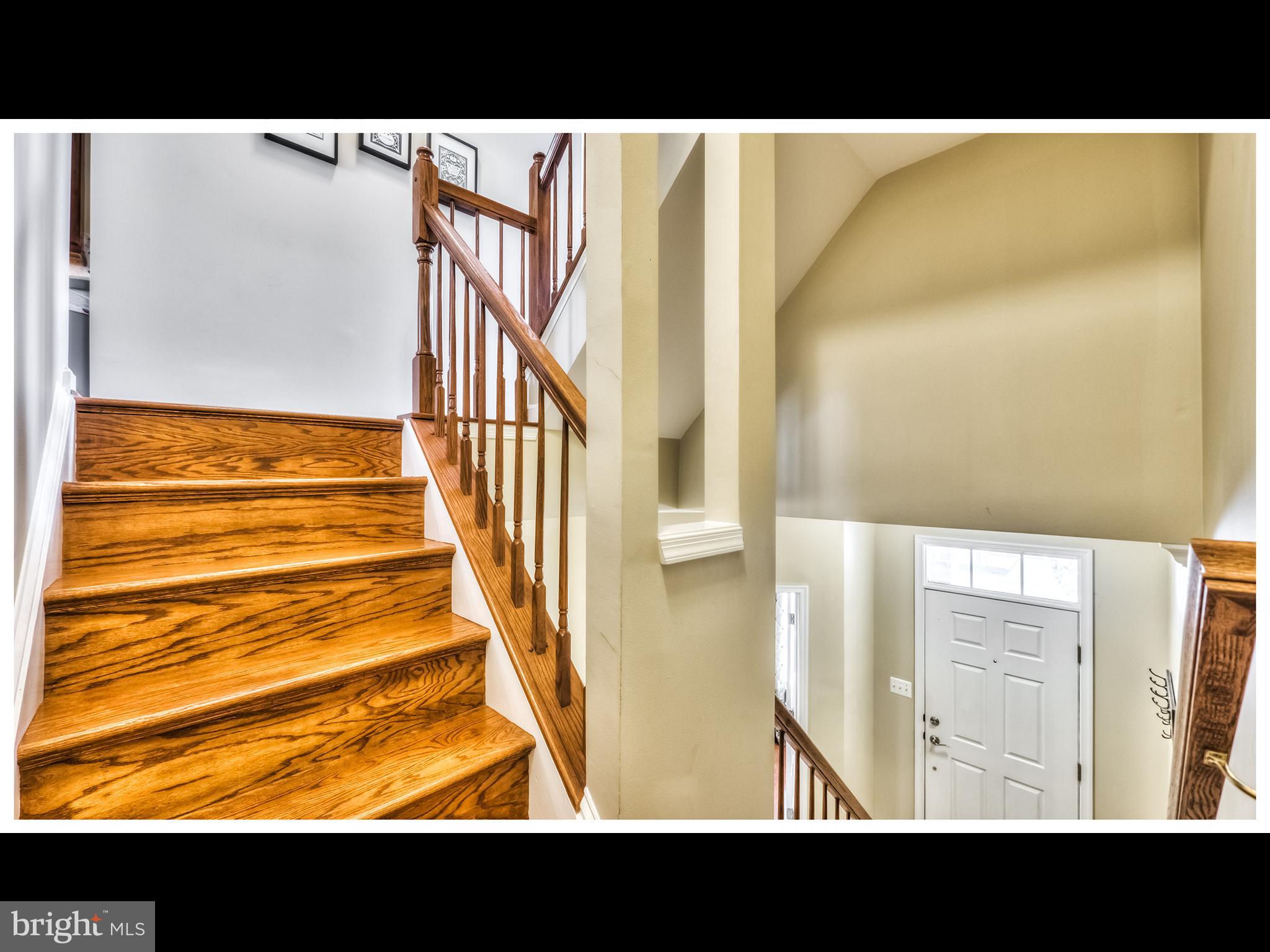 LOCUST POINT - Residential