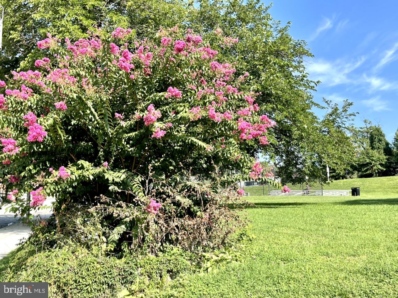 DRUID HILL PARK - Residential Lease