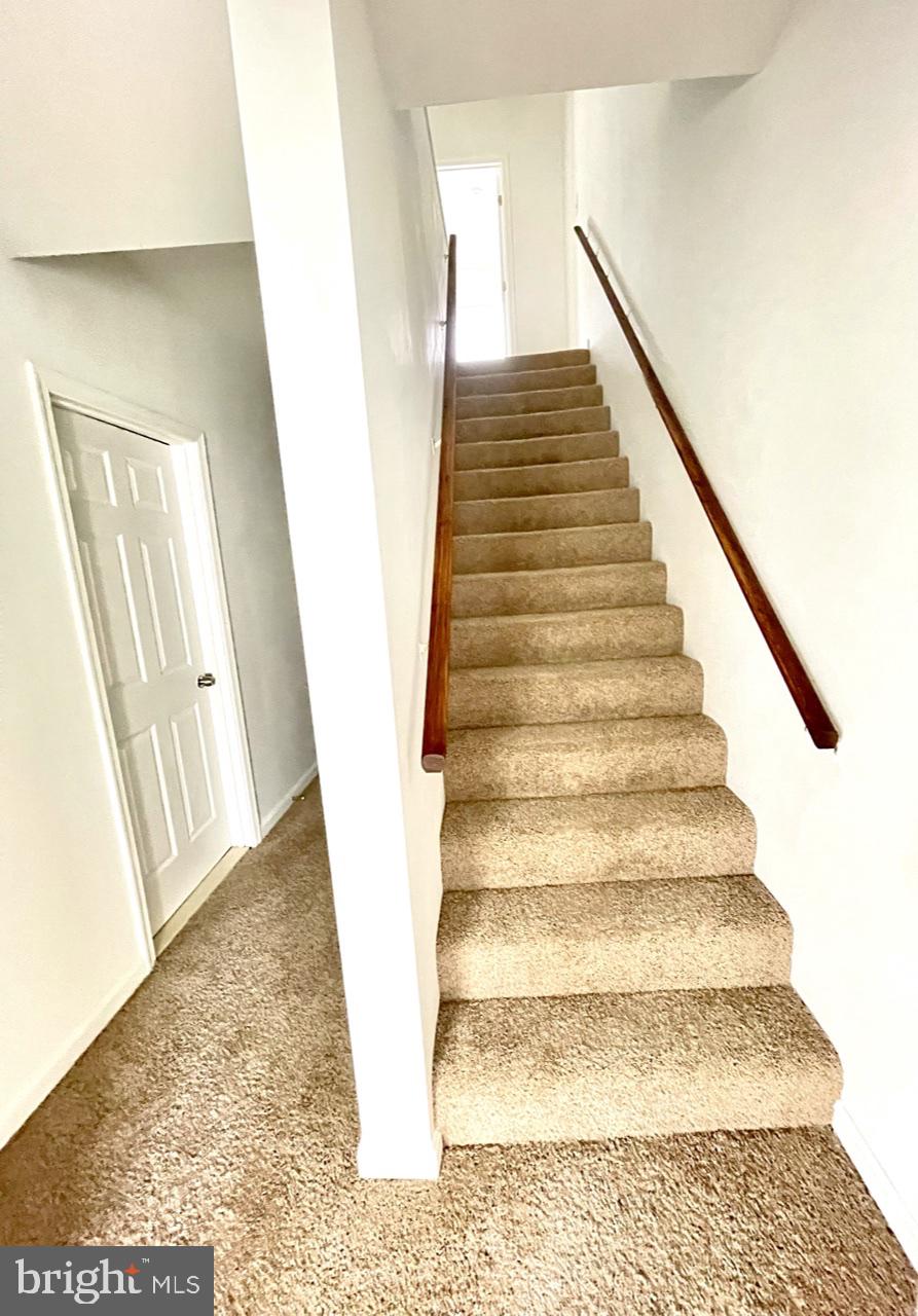 DRUID HILL PARK - Residential Lease