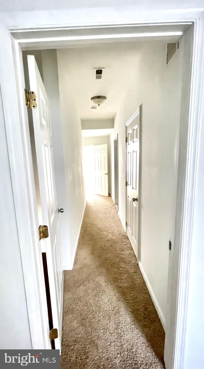 DRUID HILL PARK - Residential Lease