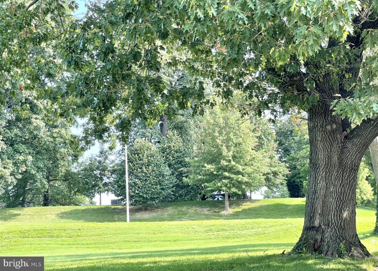 DRUID HILL PARK - Residential Lease