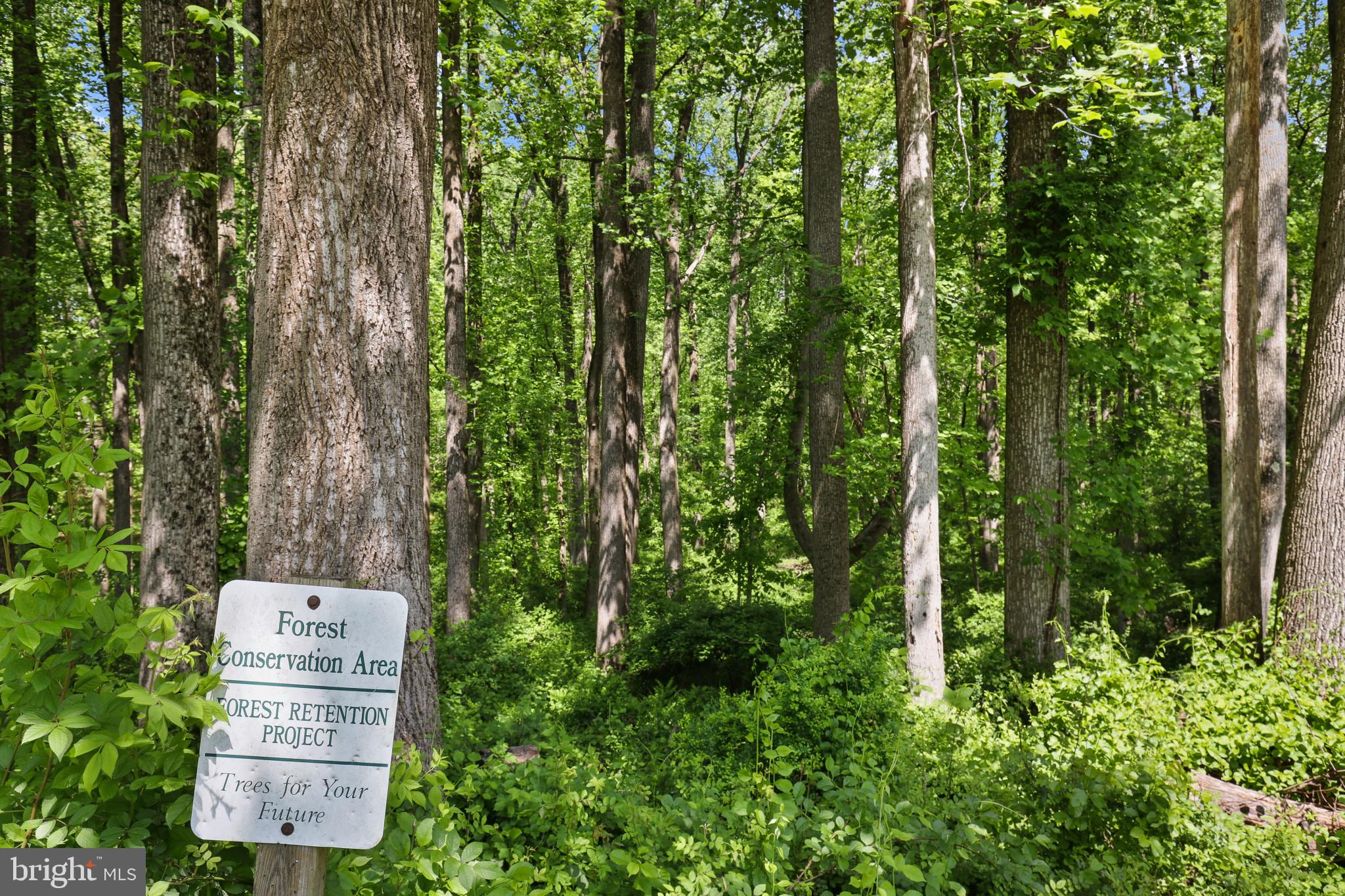 BRANTWOOD - Residential