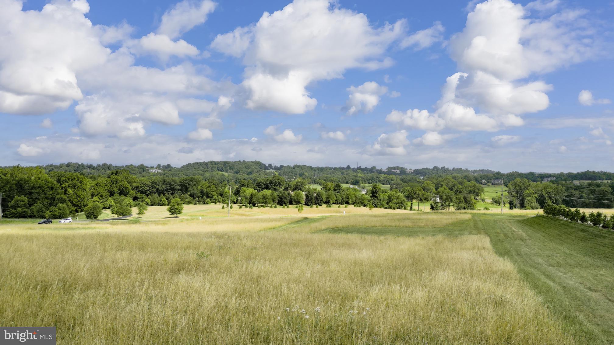 MOWERY ORCHARDS - Land
