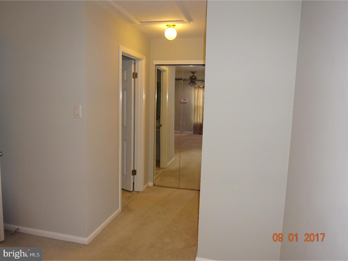 TAMERLANE - Residential