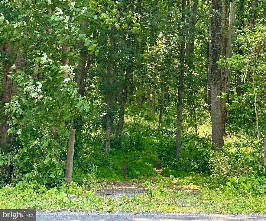 Ready to build! Beautiful 16.94 acre wooded retreat with lovely flowing stream, only 10 minutes from the town of Culpeper and 40 minutes to Charlottesville.  Property offers two separate entrances. One entrance off of James City Road and another private entrance off of Hoover Rd.- Lots of road frontage, only 1 1/2 miles from Rt. 29.  Four bedroom conventional gravity septic construction permit on record with county. No HOA, no subdivision! No covenants or restrictions.