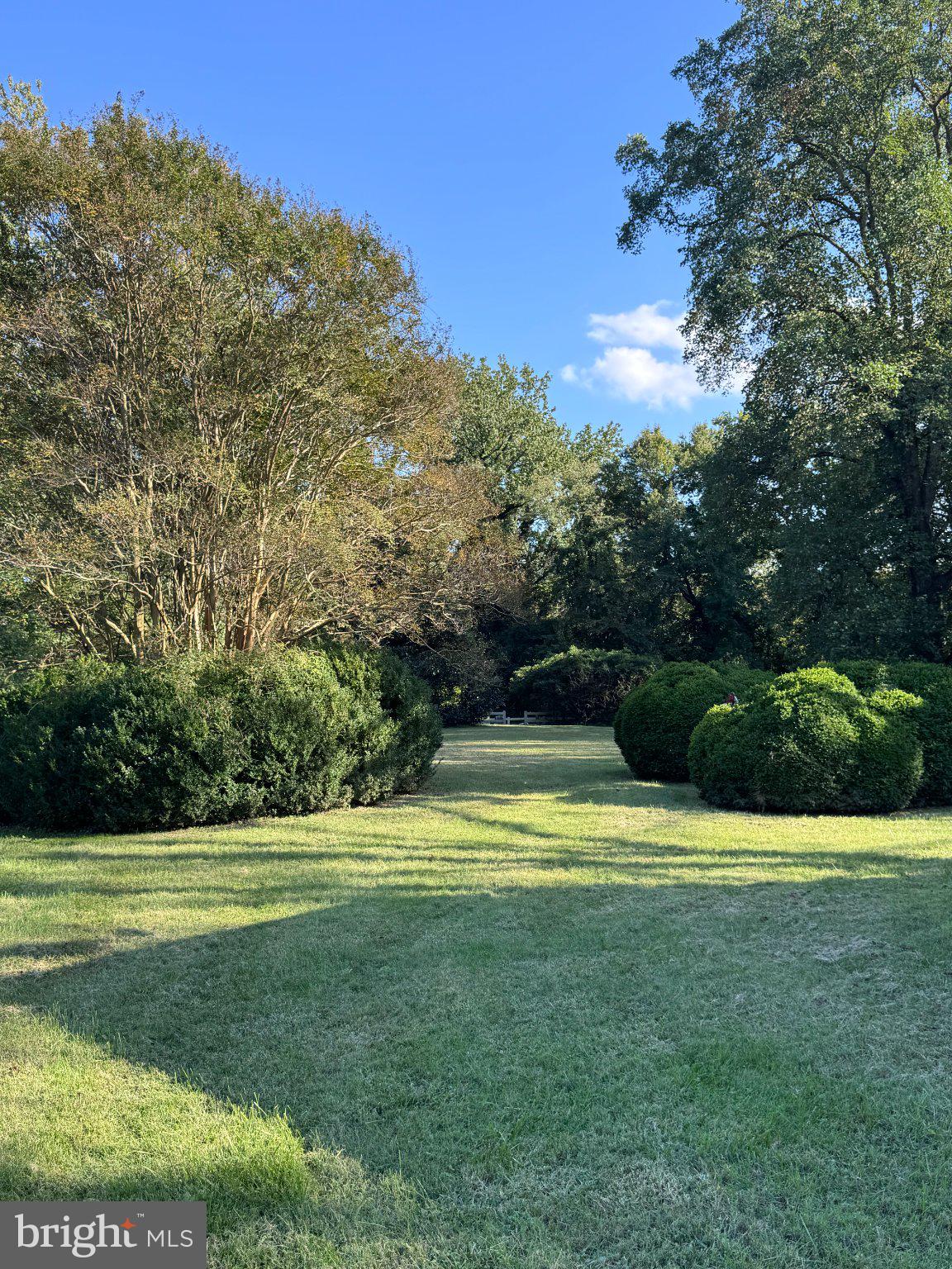 269 BEN LOMOND ROAD