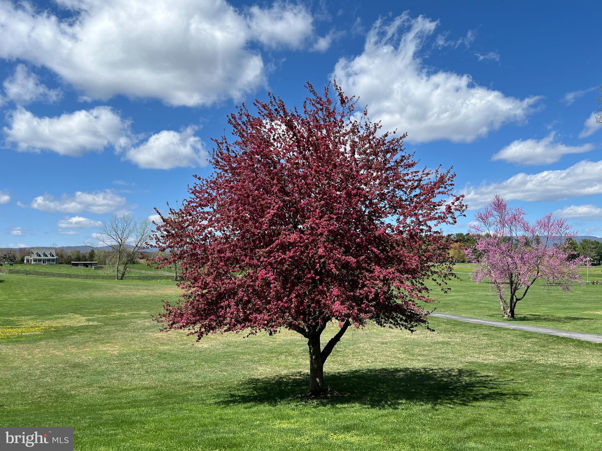 WINDSOR FARMS - Residential